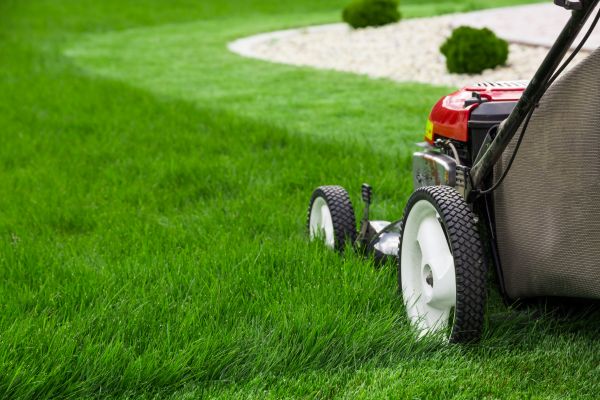 Residential Yard Mowing in Shreveport