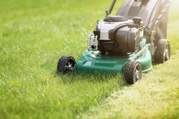 Yard Cutting in Shreveport