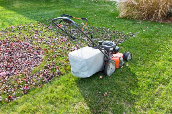 Seasonal Lawn Care in Shreveport