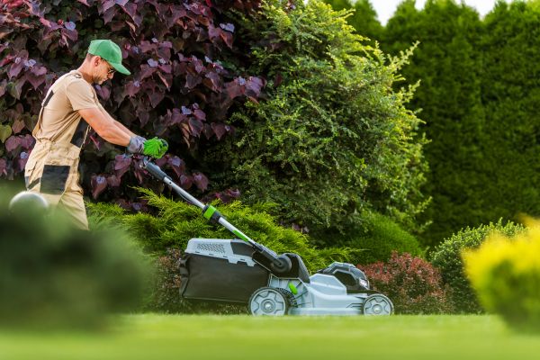 Lawn Management in Shreveport