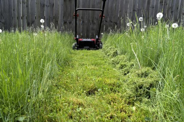 High Grass Mowing in Shreveport