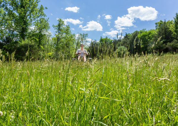 Long Grass Mowing in Shreveport