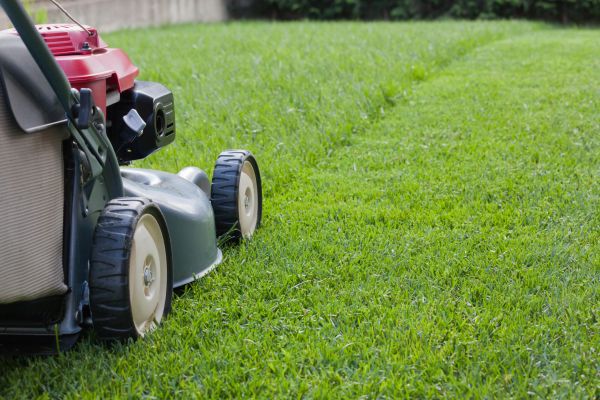 Summer Lawn Care in Shreveport