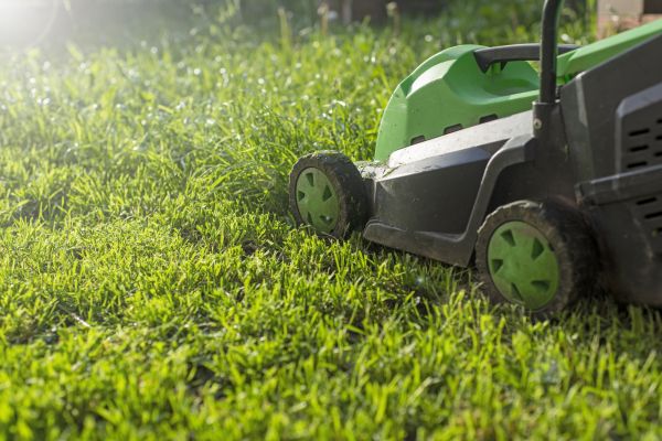 Lot Mowing in Shreveport