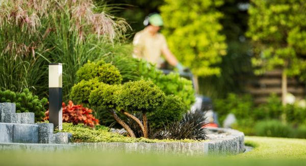 Residential Yard Maintenance in Shreveport