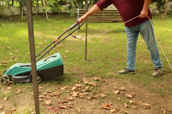 Leaves Mowing in Shreveport