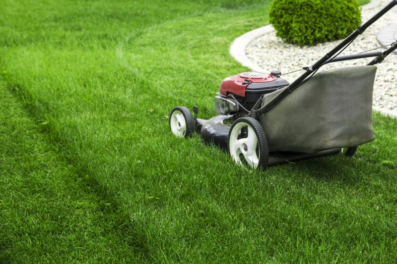 Lawn Care And Maintenance