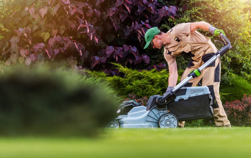 Commercial Lawn Maintenance