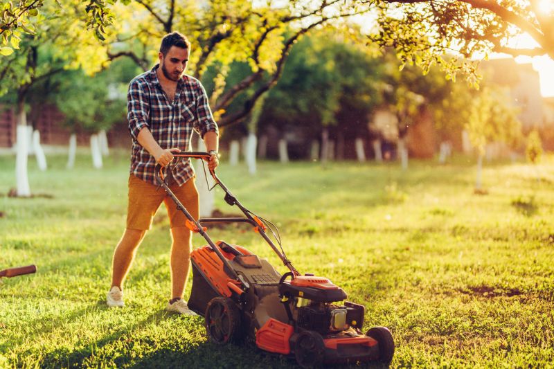 Lawn Mowing in Morning Light