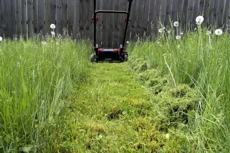 Even Lawn Cut