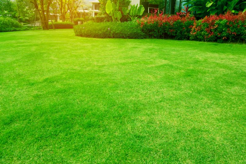 Lawn Maintenance Tips